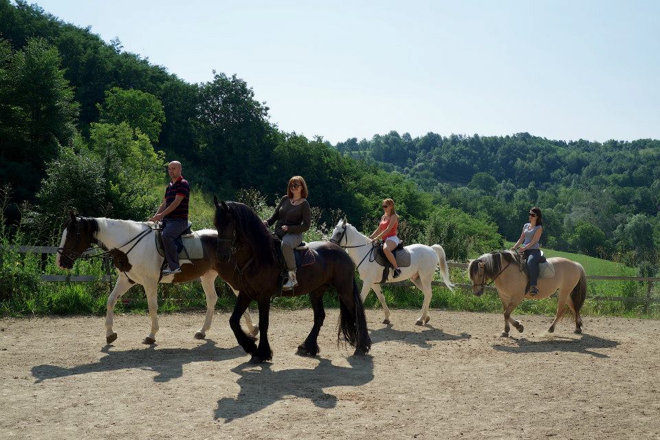 Tag: <span>Atena</span>